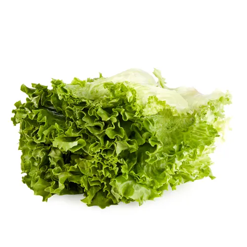 Green Giant Fresh Washed & Trimmed Green Leaf Lettuce, 7 oz thumbnail 3
