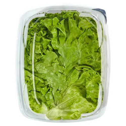 Green Giant Fresh Washed & Trimmed Green Leaf Lettuce, 7 oz thumbnail 4