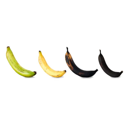 Fresh Plantain, Each thumbnail 3
