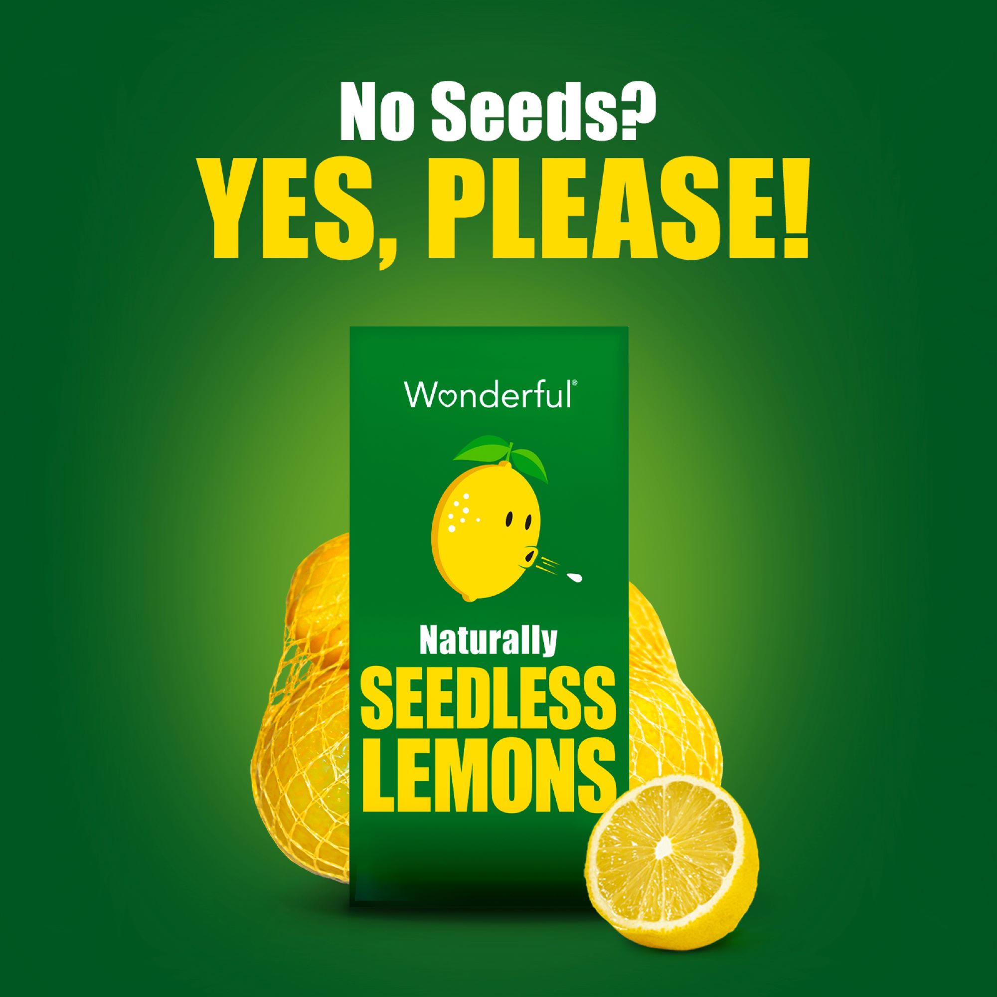 Fresh Seedless Lemons, 1 lb Bag thumbnail 2