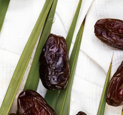 11LB Large Size Medjool Dates-Golden Dates Farm-California Fresh-Dried Fruits thumbnail 3