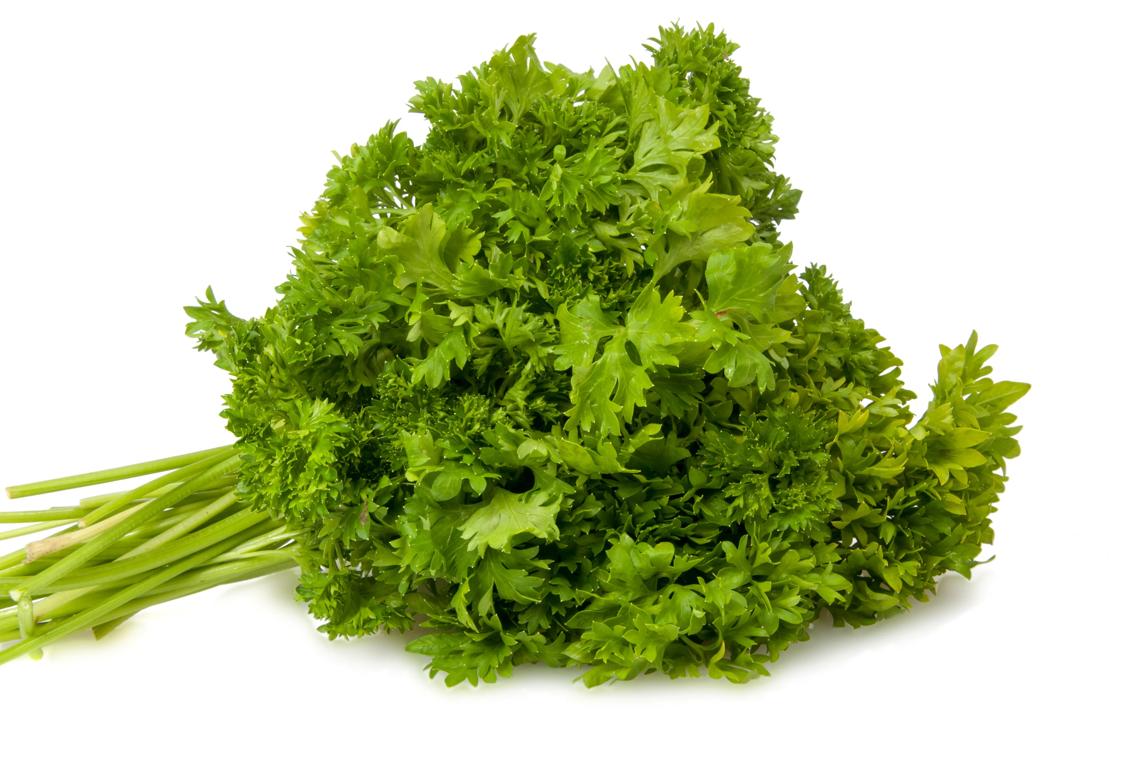 Fresh Curly Parsley Bunch, Each