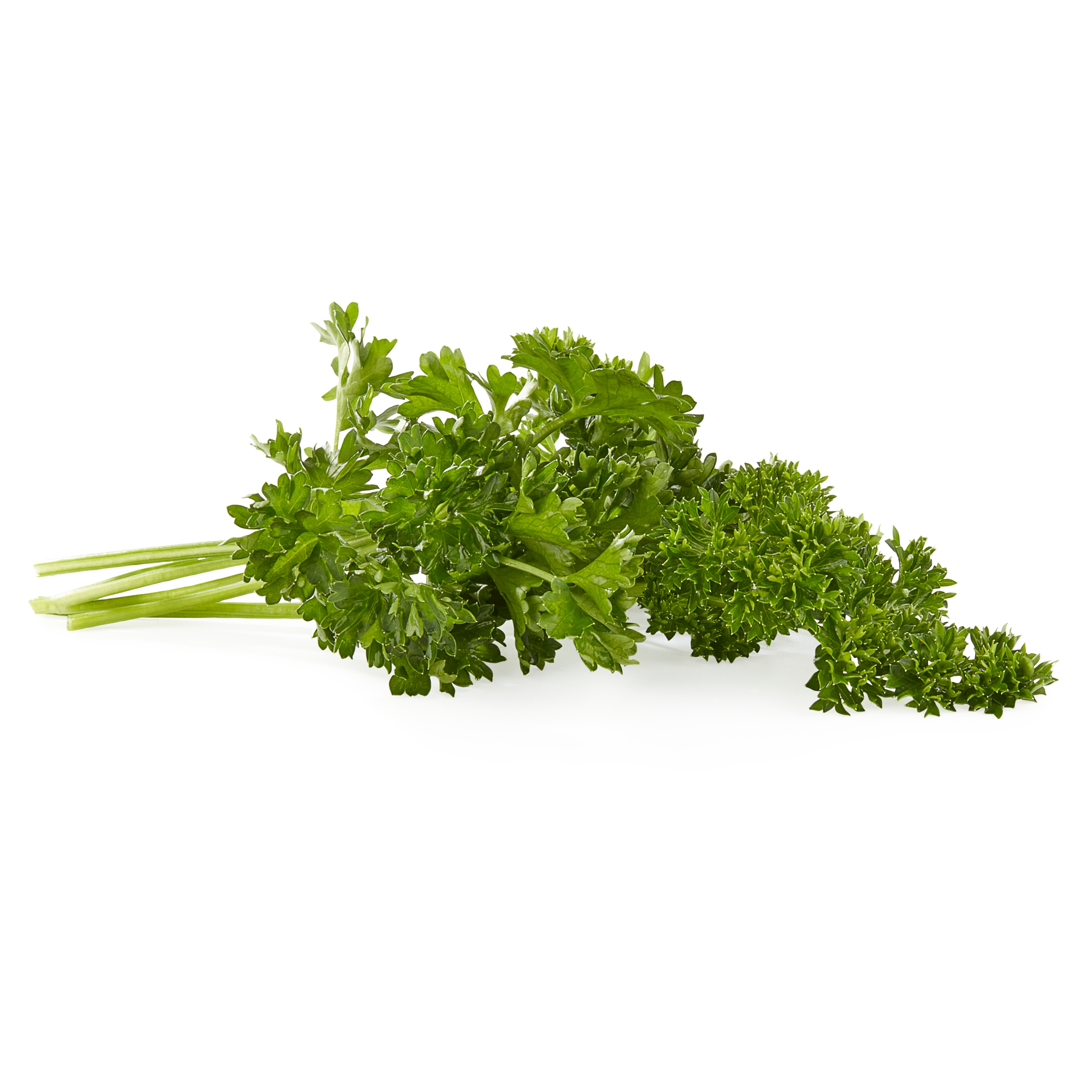 Fresh Curly Parsley Bunch, Each thumbnail 3