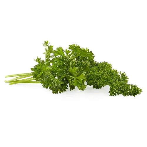 Fresh Curly Parsley Bunch, Each thumbnail 3