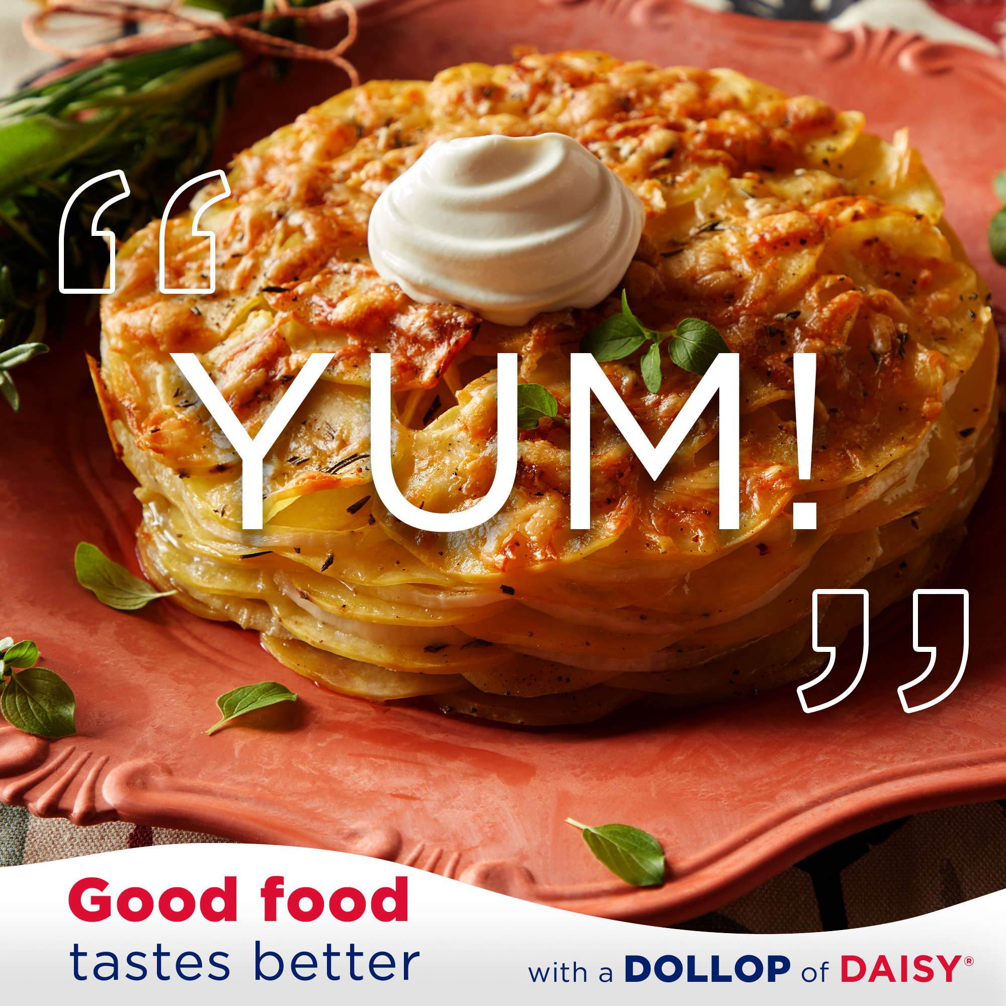 Daisy Pure and Natural Light Squeeze Sour Cream, 50% Less Fat, 14 oz Pouch (Refrigerated) thumbnail 4