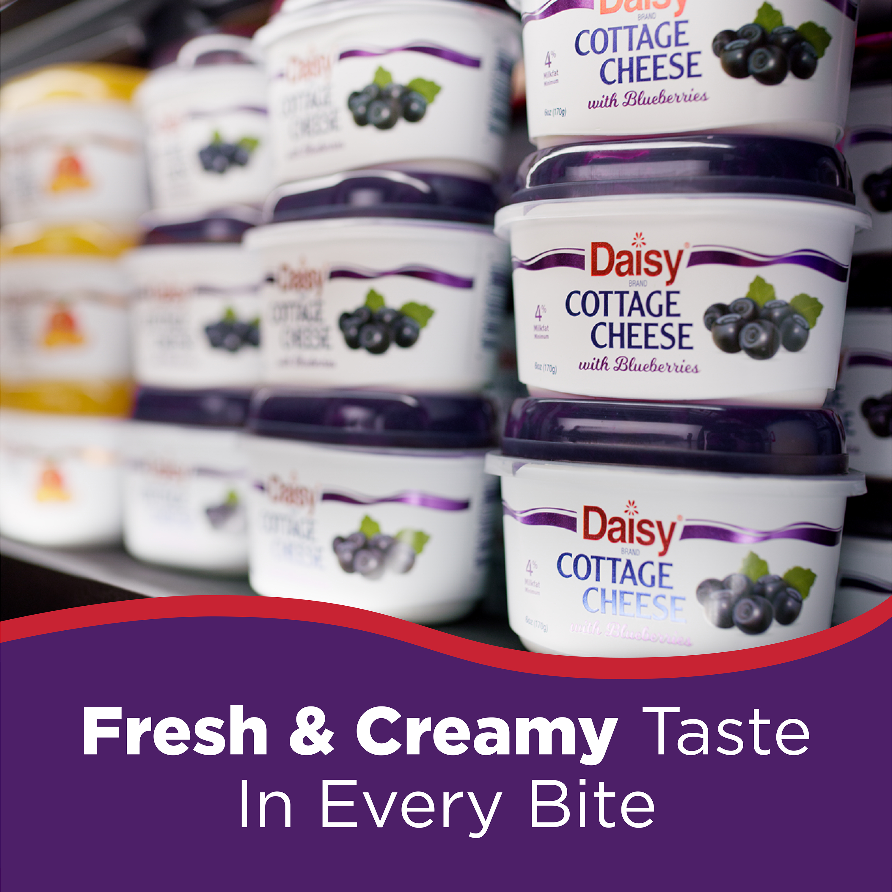 Daisy Cottage Cheese with Blueberries, 4% Milkfat, 6 oz Cup (Refrigerated) - 14g of Protein per serving thumbnail 4