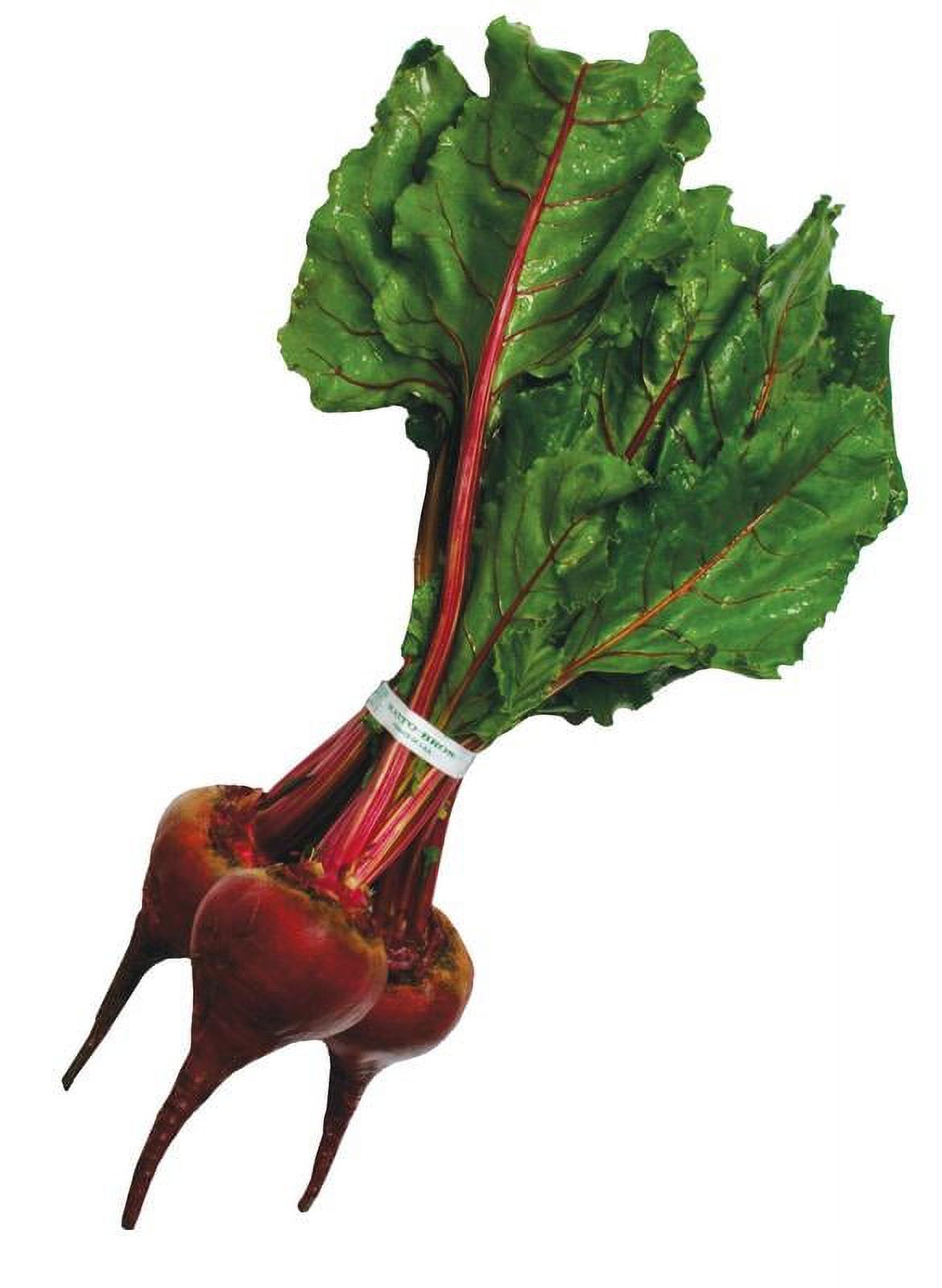 Fresh Beets, Bunch thumbnail 2