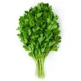 Fresh Italian Parsley Bunch, Each thumbnail 2