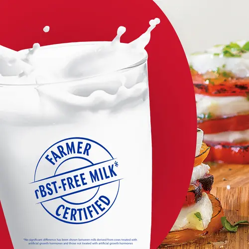 Galbani Fresh Mozzarella Cheese Ball, Non-Marinated, 6 oz (Refrigerated) thumbnail 4