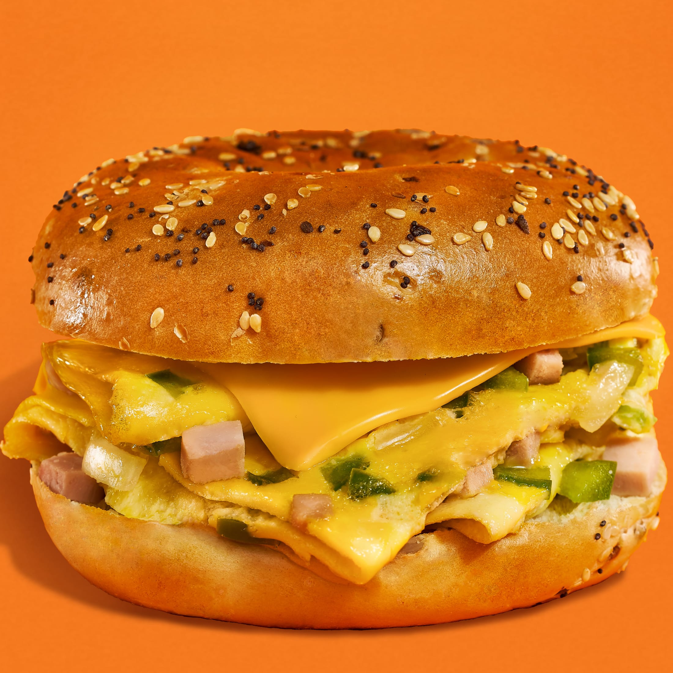 2x-Thomas' Everything Bagels 6 count Pre-sliced Bagels 20 oz Bag thumbnail 3