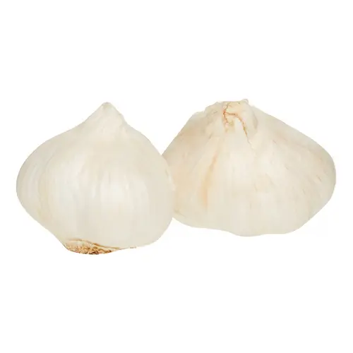 Spice World Fresh Garlic Sleeve, 3 Count thumbnail 3