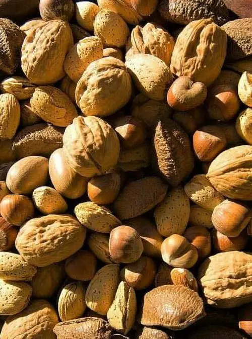 California Fresh Raw In-shell Whole Mixed Nuts 1 LB thumbnail 2