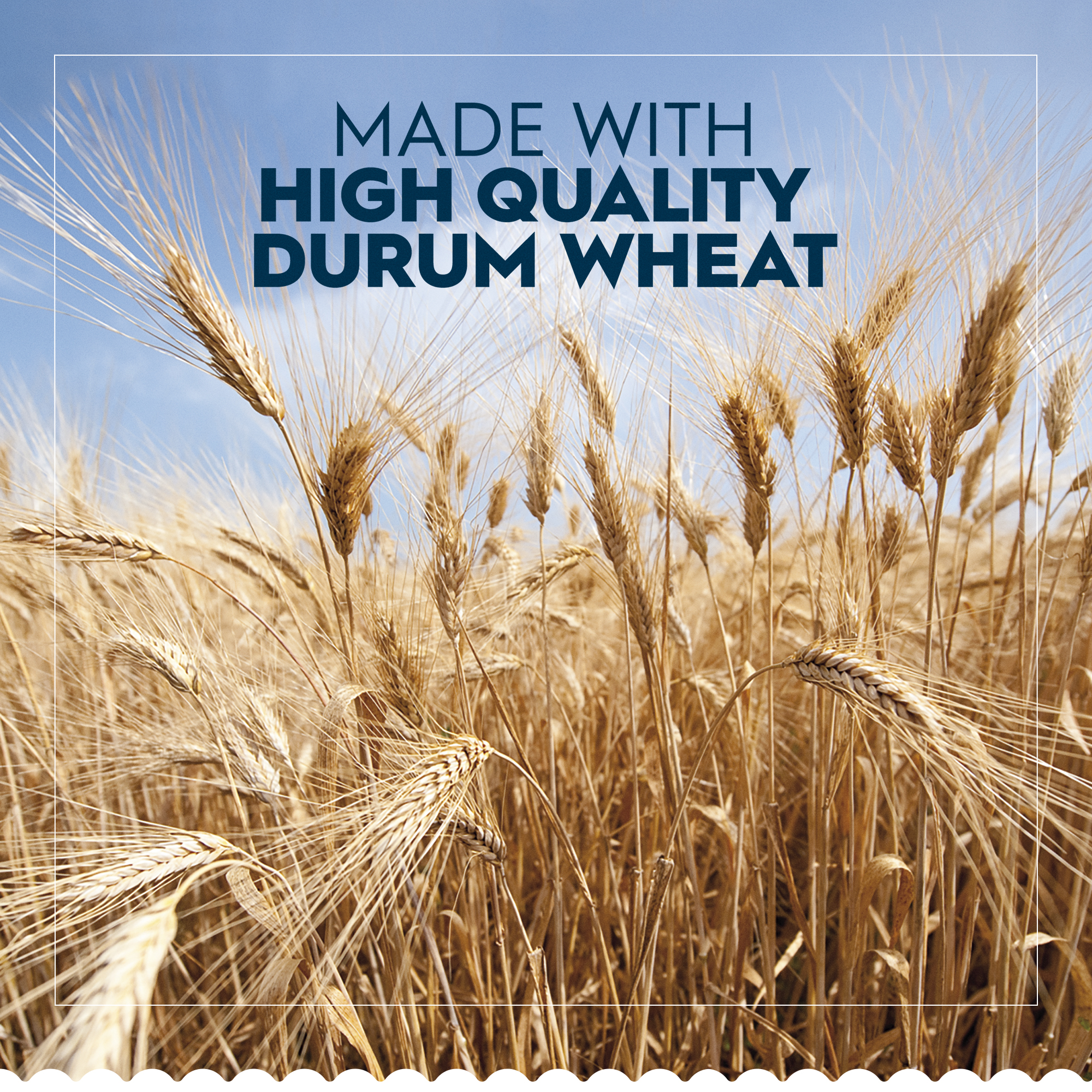 Barilla Classic Kosher Certified, Oven-Ready Lasagne Pasta, 9 oz thumbnail 3