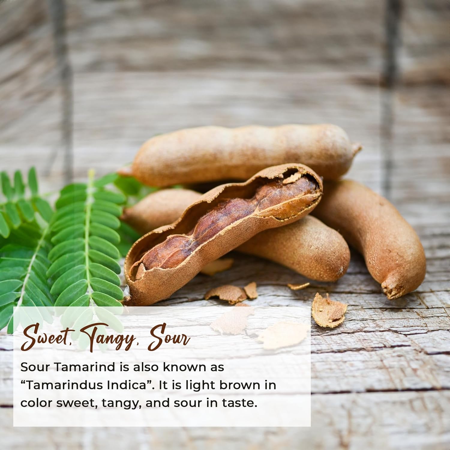 NY SPICE SHOP Sour Tamarind Whole - 1 Pound - Tamarind Pods - Thai Sour Tamarind - Tamarind Candy thumbnail 3