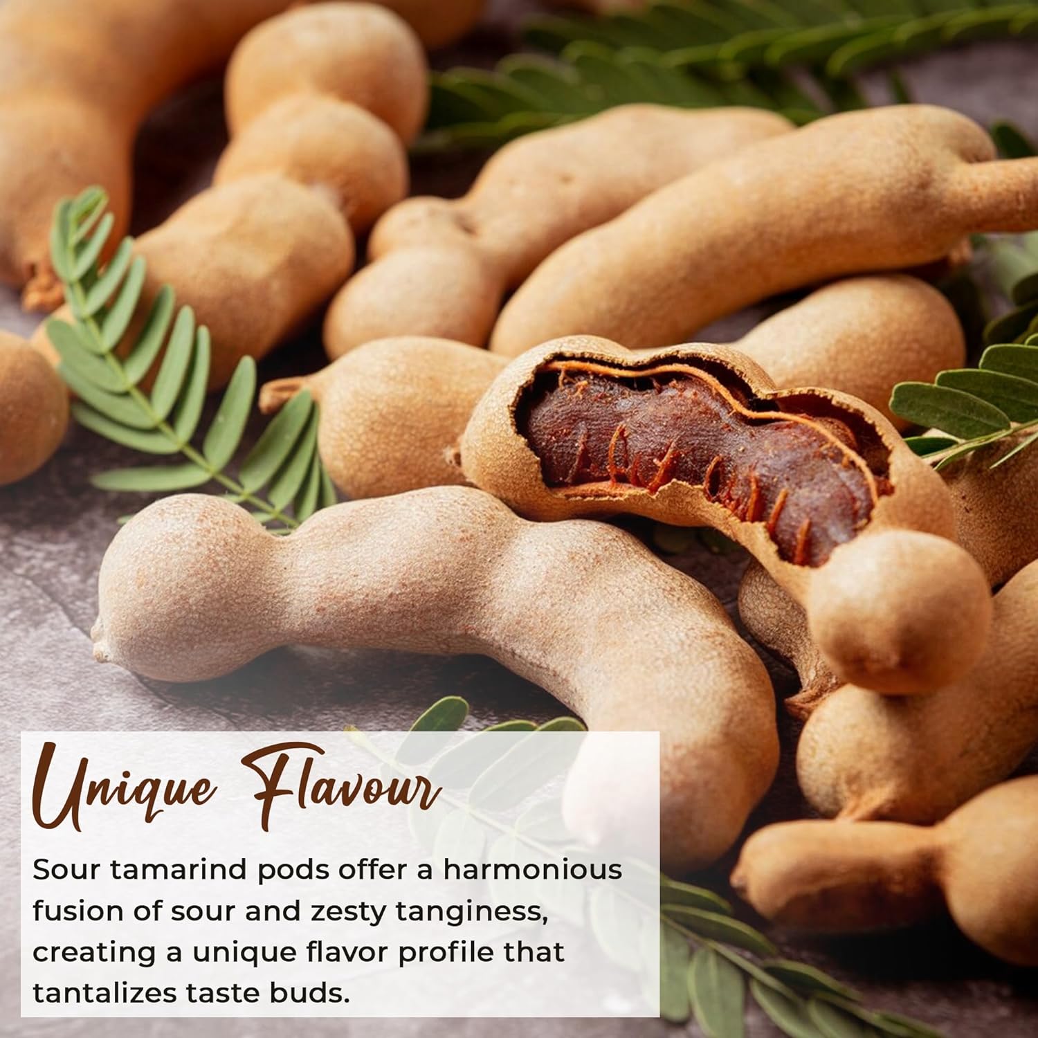 NY SPICE SHOP Sour Tamarind Whole - 1 Pound - Tamarind Pods - Thai Sour Tamarind - Tamarind Candy thumbnail 4