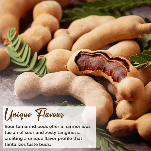 NY SPICE SHOP Sour Tamarind Whole - 1 Pound - Tamarind Pods - Thai Sour Tamarind - Tamarind Candy thumbnail 4