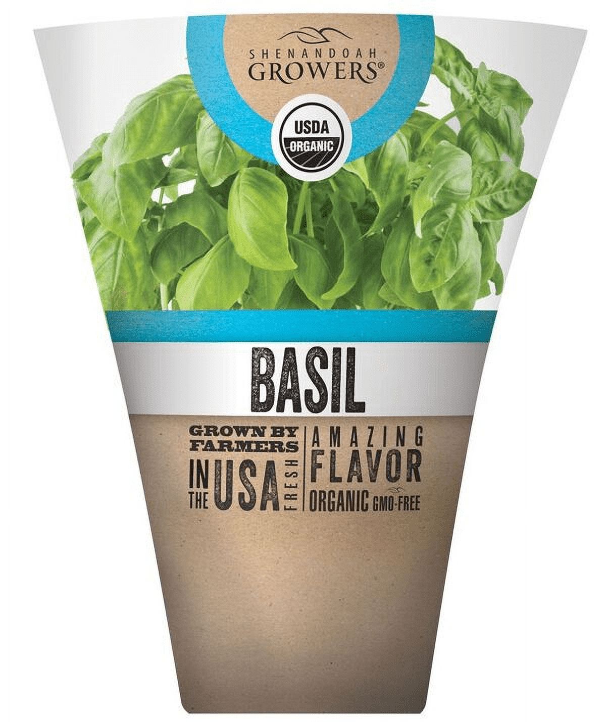 Shenandoah Growers Organic Fresh Potted Basil, 1 Each
