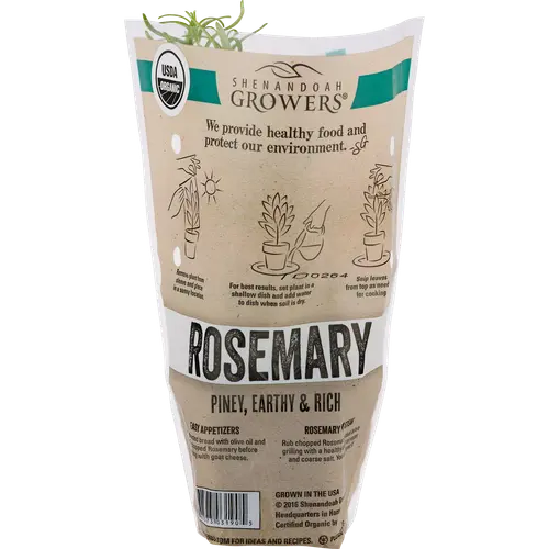 Organic Potted Rosemary Green Live Plant, 1 Each thumbnail 2