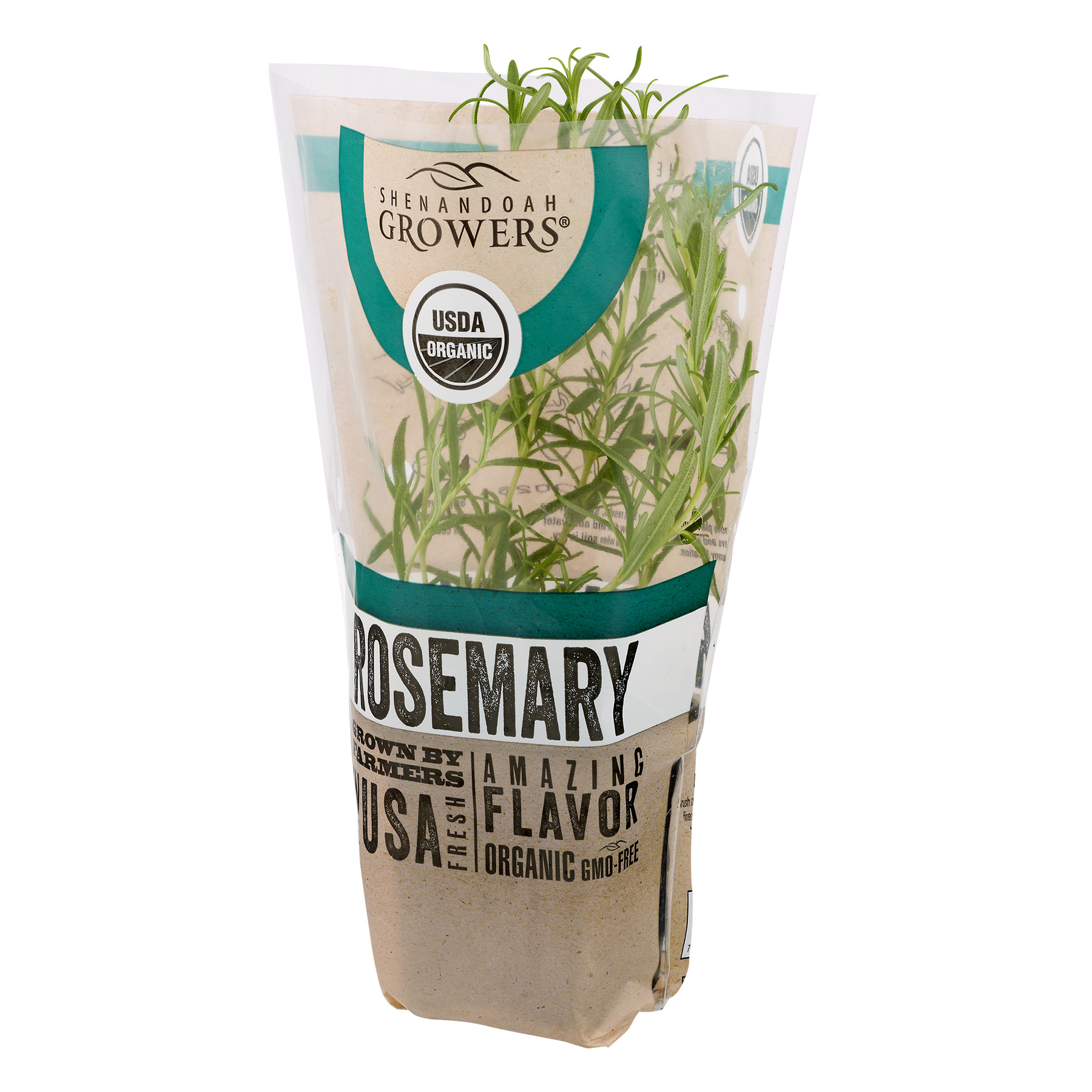 Organic Potted Rosemary Green Live Plant, 1 Each thumbnail 4