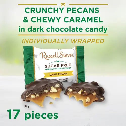 RUSSELL STOVER Sugar Free Dark Chocolate Pecan Delights Candy, 10 oz. bag (â‰ˆ 16 pieces) thumbnail 2