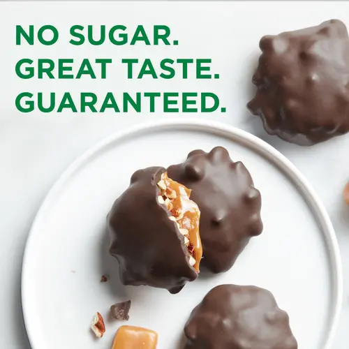 RUSSELL STOVER Sugar Free Dark Chocolate Pecan Delights Candy, 10 oz. bag (â‰ˆ 16 pieces) thumbnail 4