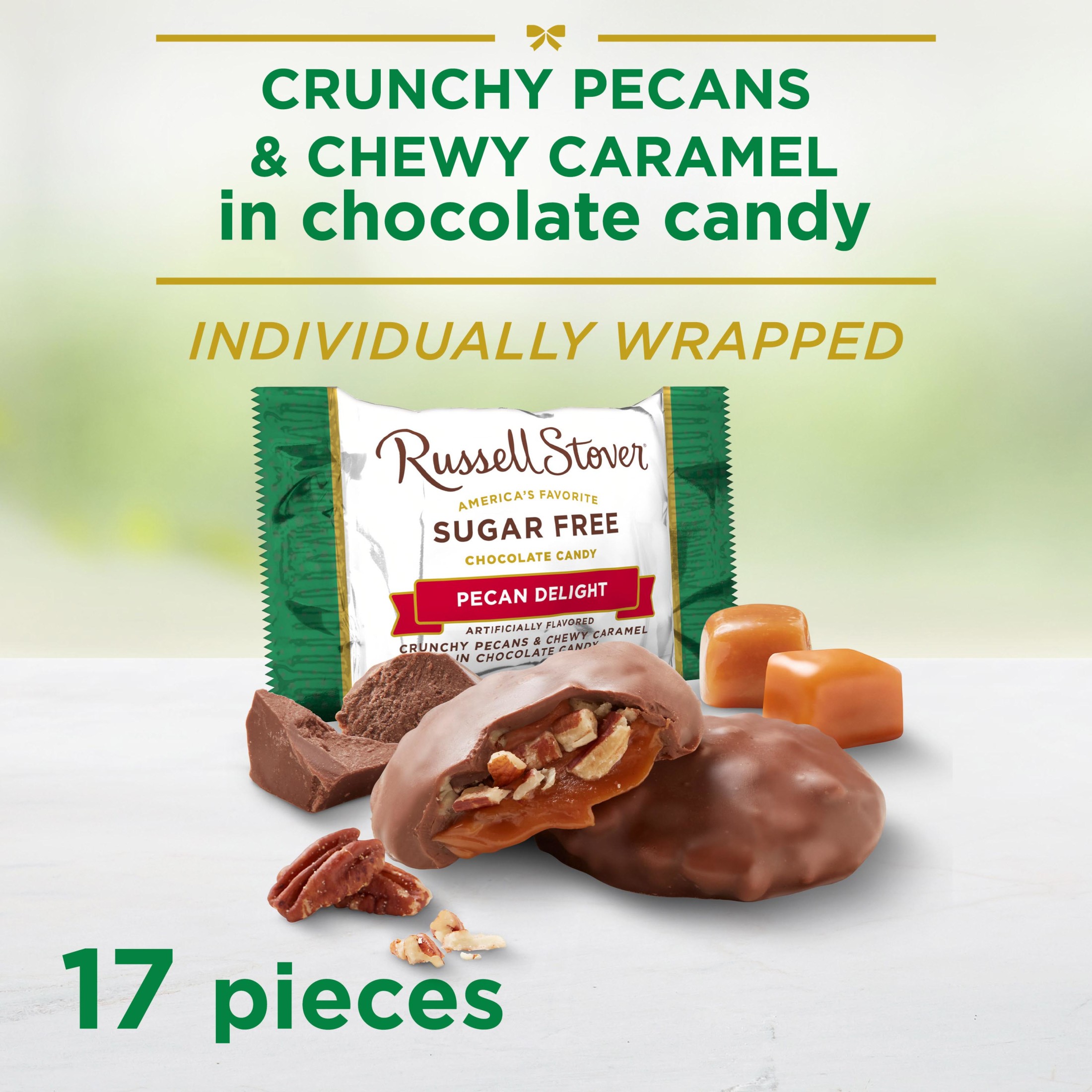 RUSSELL STOVER Sugar Free Pecan Delight Chocolate Candy, 10 oz. bag (â‰ˆ 16 pieces) thumbnail 2