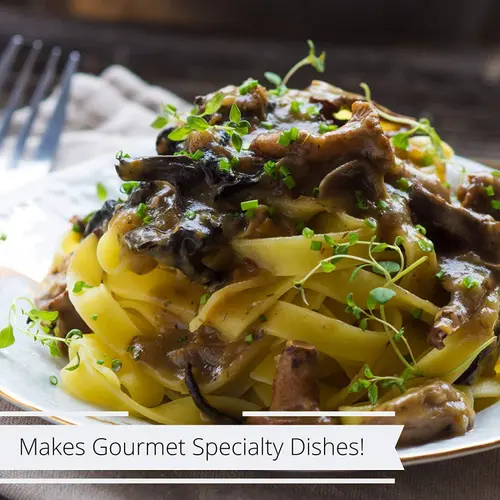 Dried Mushroom Slices Boletus Luteus by It's Delish, 4 Oz Bag  Chilean Sundried Dehydrated and Sliced Mushrooms for Cooking and  thumbnail 3