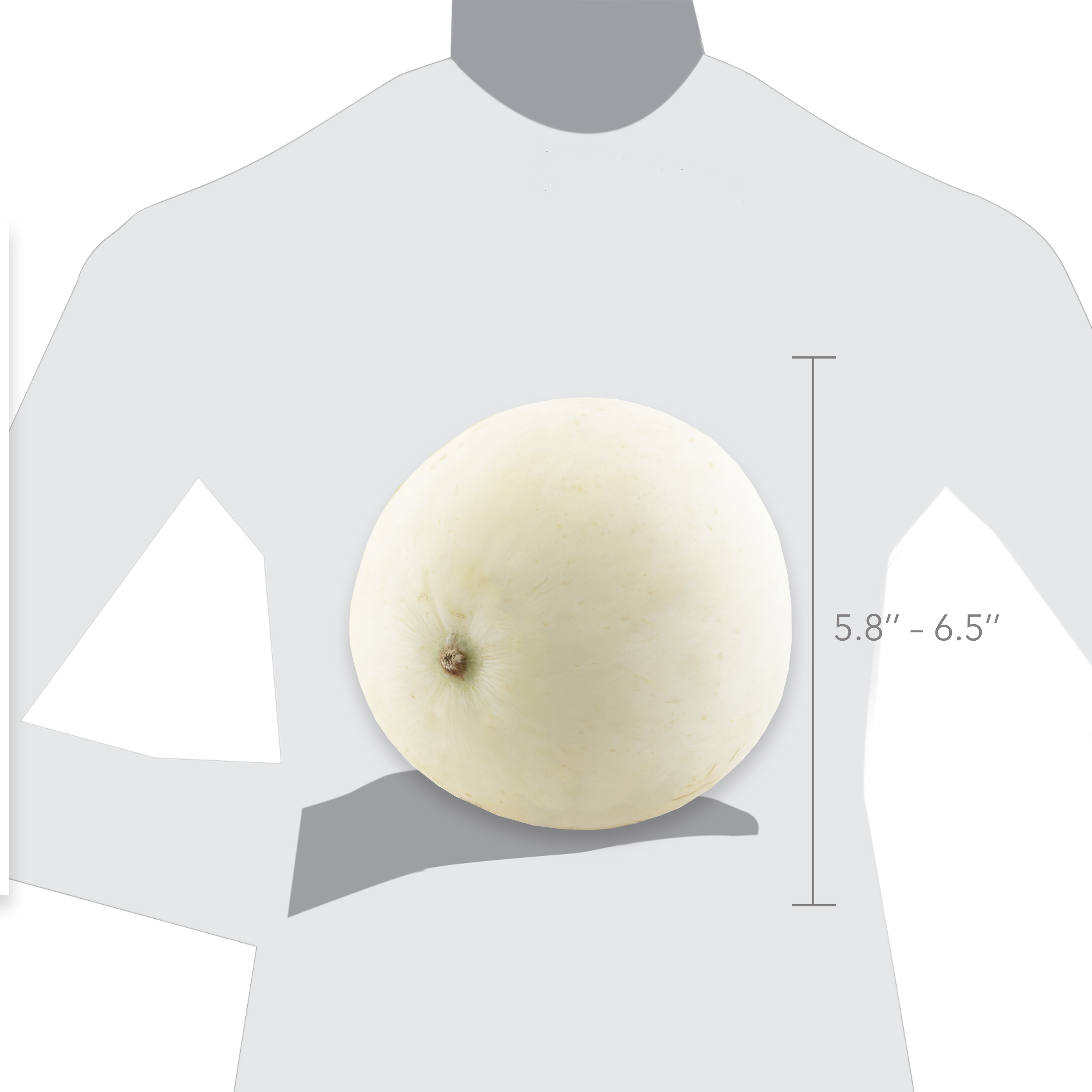 Fresh Honeydew Melon, Each thumbnail 2