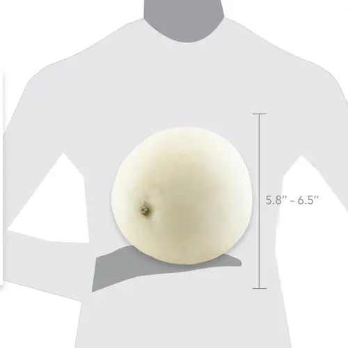 Fresh Honeydew Melon, Each thumbnail 2