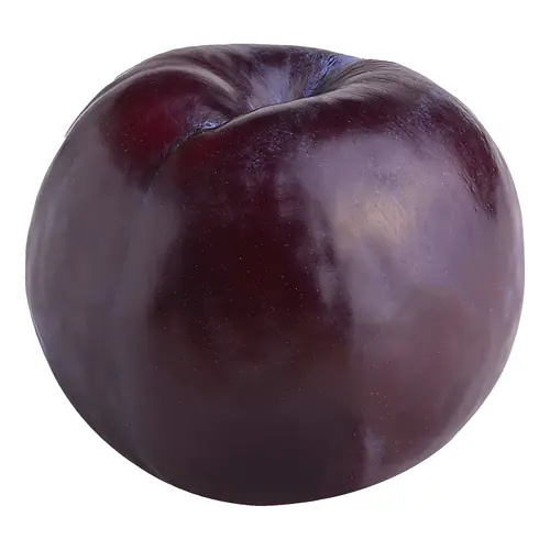 Fresh Plum, Each thumbnail 4