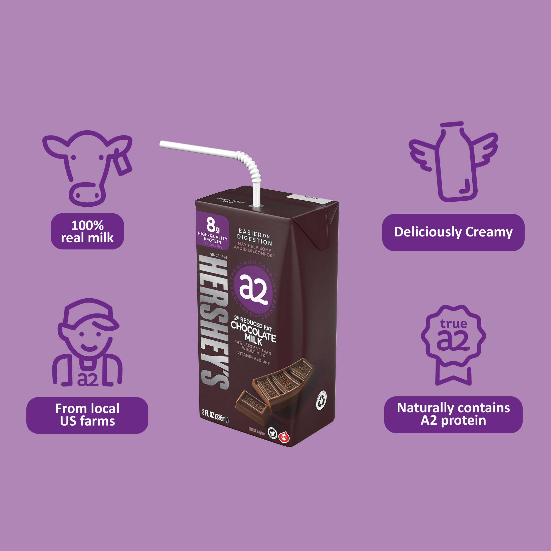 HERSHEYâ€™S a2 MilkÂ® Chocolate 2% Reduced Fat Milk Boxes, 8 oz, 12-Pack thumbnail 2