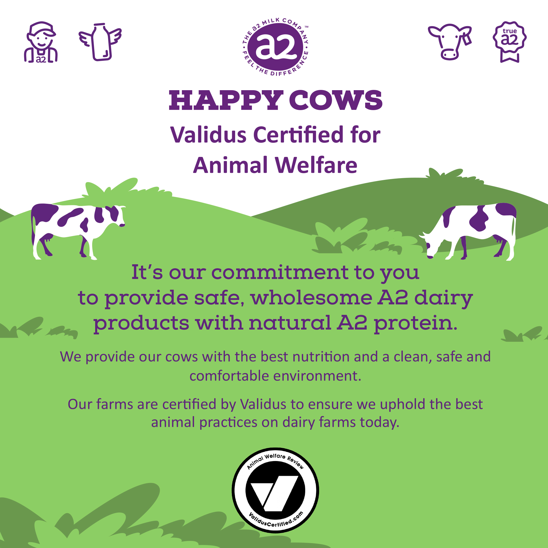 HERSHEYâ€™S a2 MilkÂ® Chocolate 2% Reduced Fat Milk Boxes, 8 oz, 12-Pack thumbnail 4