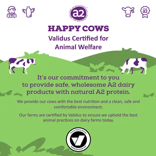 HERSHEYâ€™S a2 MilkÂ® Chocolate 2% Reduced Fat Milk Boxes, 8 oz, 12-Pack thumbnail 4