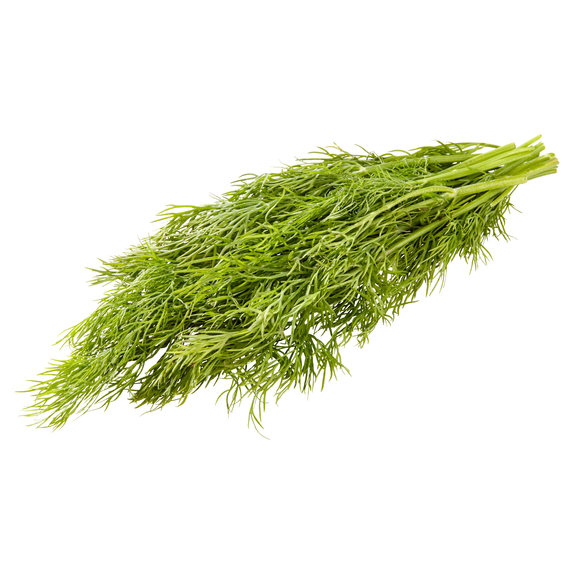 Fresh Dill, 0.5 oz Clamshell thumbnail 3