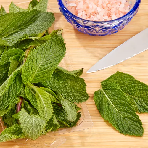 Fresh Mint, 0.5 oz Clamshell thumbnail 2