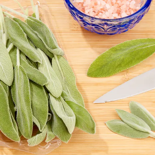 Fresh Sage, 0.5 oz Clamshell thumbnail 2