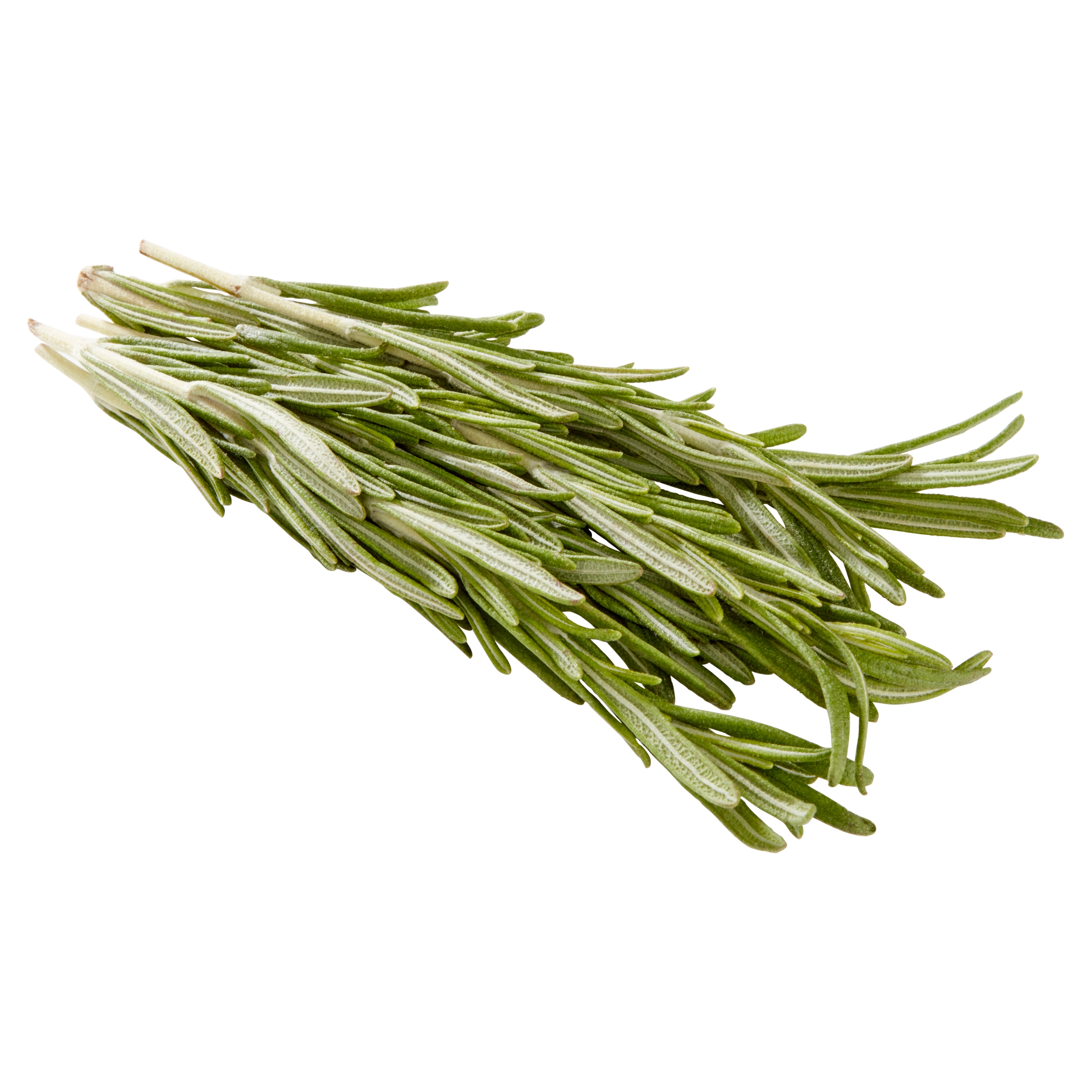 Fresh Rosemary, 0.5 oz Clamshell thumbnail 3