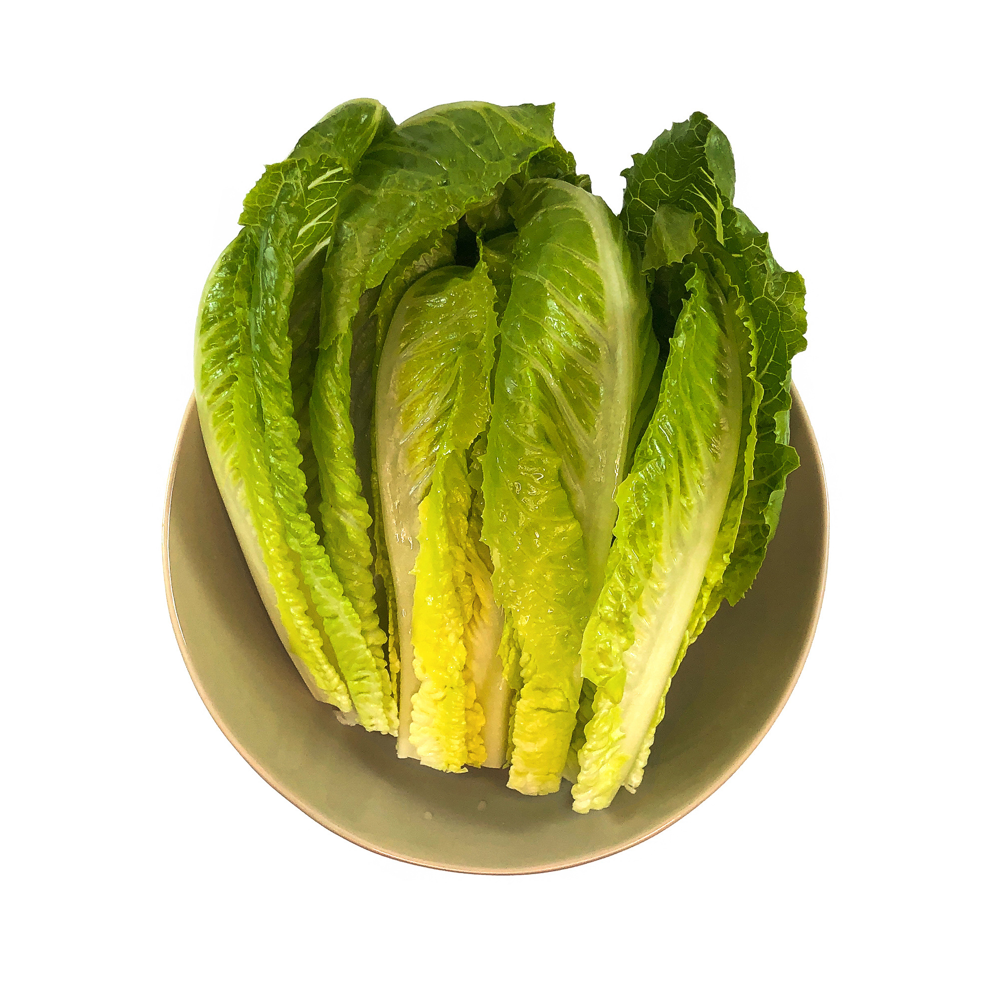 Fresh Earth Greens Organic Romaine, 7 oz thumbnail 3