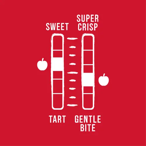 Fresh Red Delicious Apples, 5 lb Bag thumbnail 4