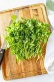 Fresh Cilantro, Bunch thumbnail 2