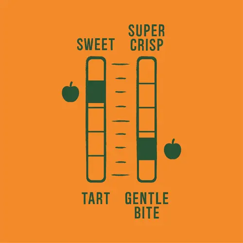 Fresh Gala Apples, 3 lb Bag thumbnail 4