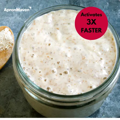 Apron Maven Premium Fresh Live Sourdough Starter Culture - 1 oz - Italian Ischia Island Style thumbnail 2