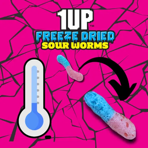1UP Freeze Dried Sour Worms, 2.0 oz Resealable Bag thumbnail 3