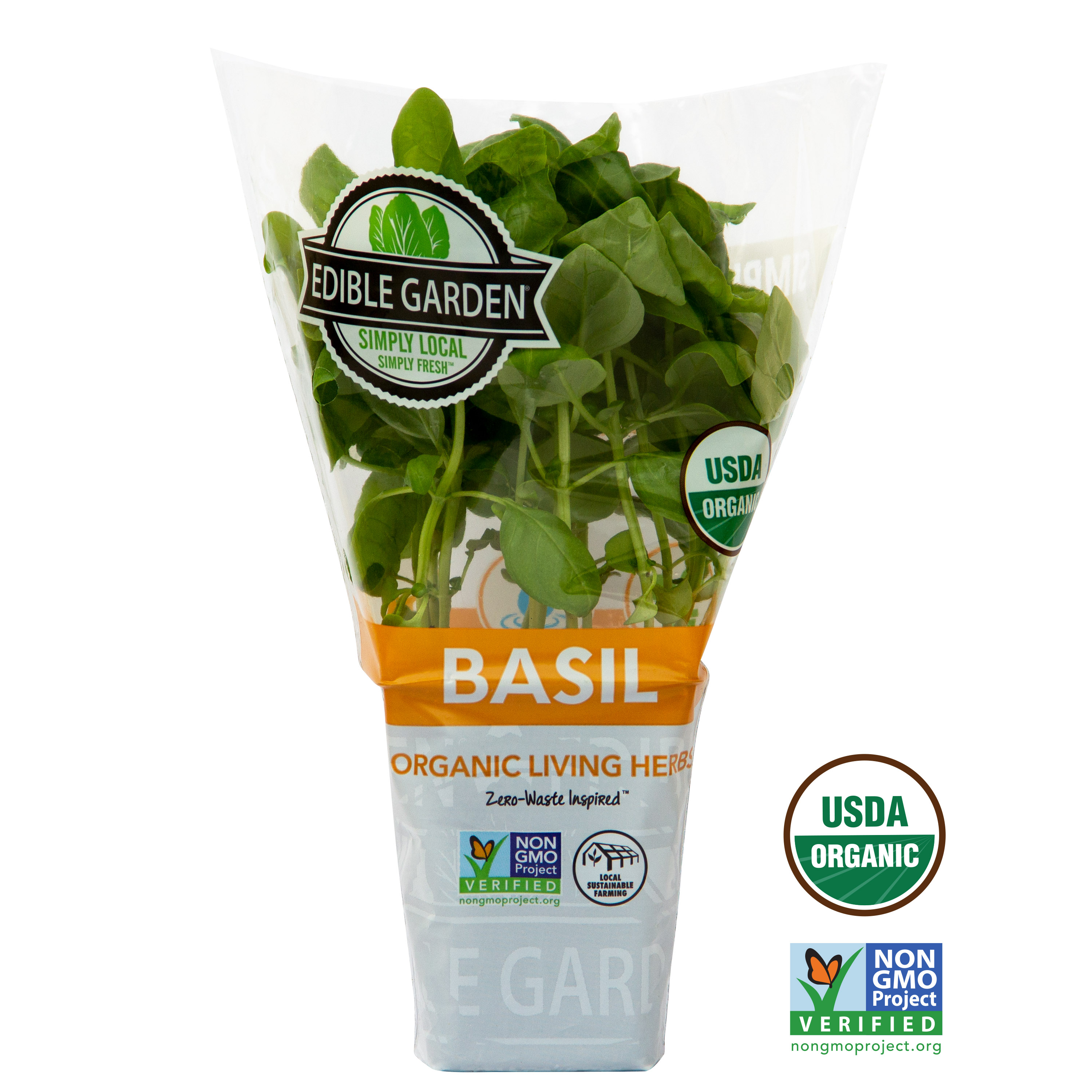 Sprout House Potted Basil Herb Plant