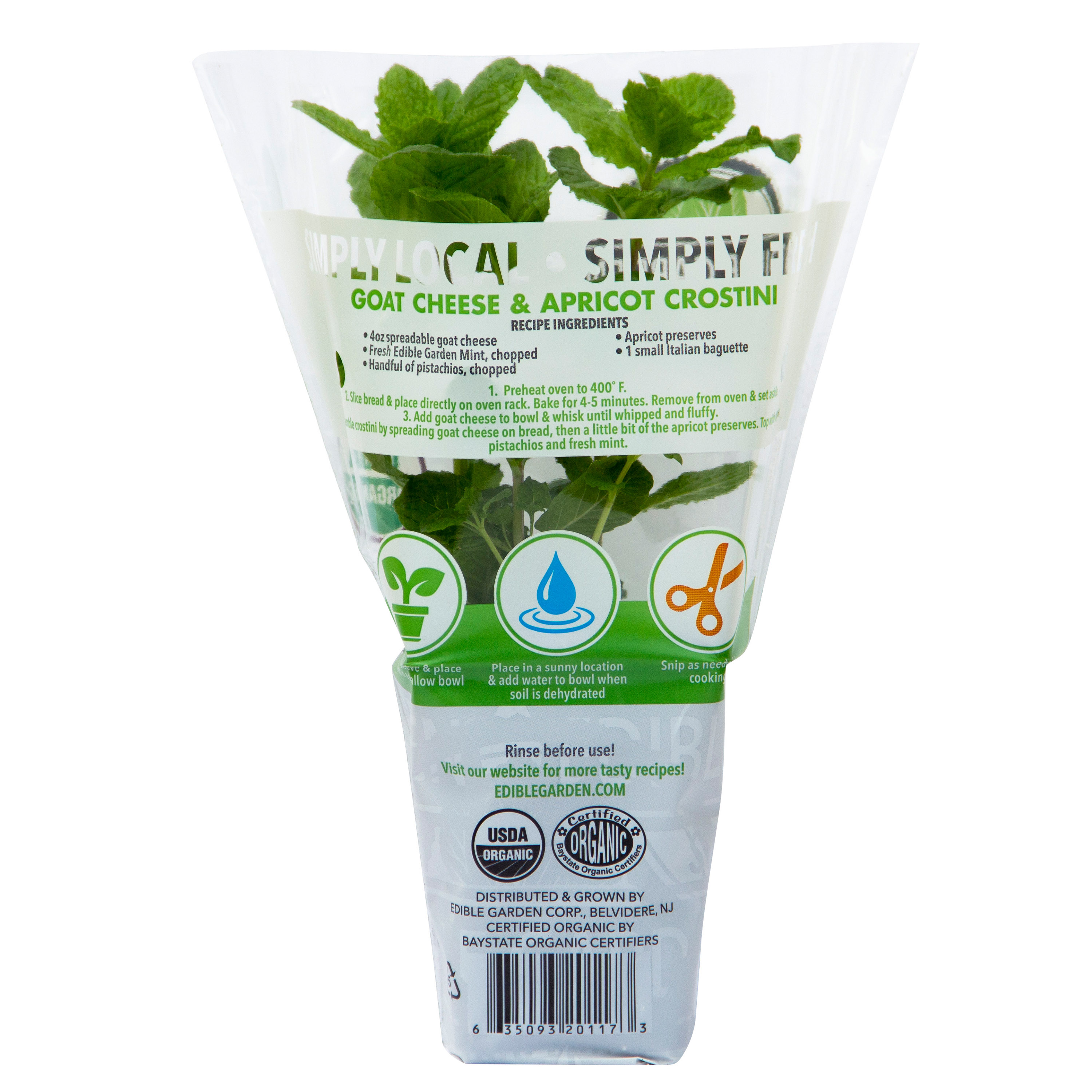 Sprout House Potted Mint Green Herb Plant, 1 Each thumbnail 2