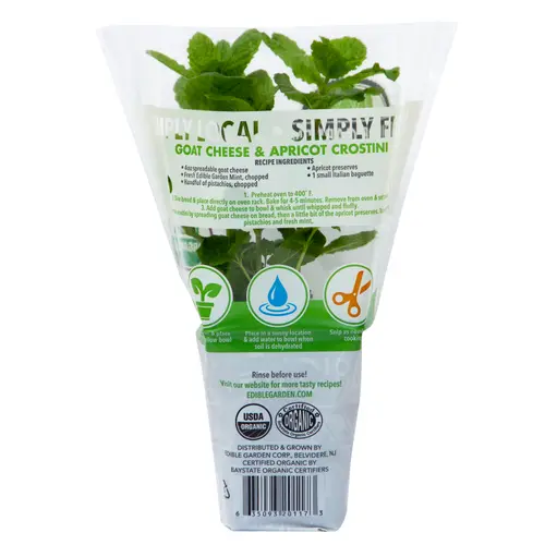 Sprout House Potted Mint Green Herb Plant, 1 Each thumbnail 2