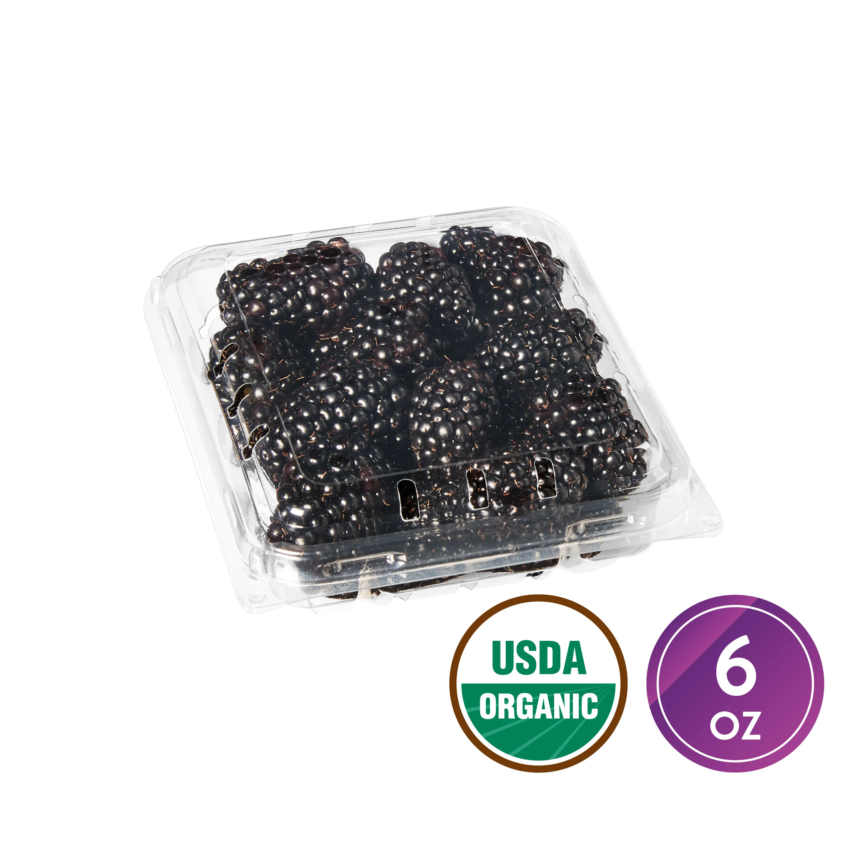 Fresh Field Packed Organic Blackberries, 6 oz Container