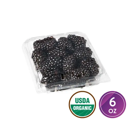 Fresh Field Packed Organic Blackberries, 6 oz Container