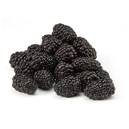 Fresh Field Packed Organic Blackberries, 6 oz Container thumbnail 2