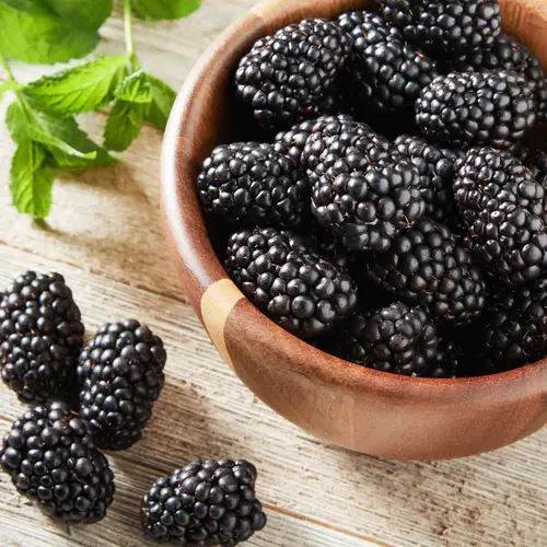 Fresh Field Packed Organic Blackberries, 6 oz Container thumbnail 3